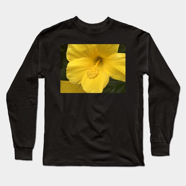 Atlanta, GA.  -- Spring Blooms I Long Sleeve T-Shirt by zwrr16